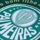 Leila Pereira Transforma o Palmeiras em uma M quina de Talentos A Chegada de Hugo e o Futuro do Verd o