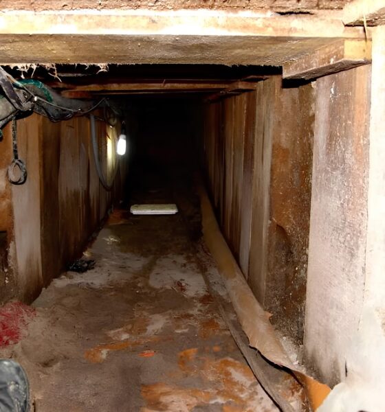 O Caso do Ladrão de Fortunas: A Prisão que Revelou o Fim de uma Era Criminosa 9 O Caso do Ladr o de Fortunas A Pris o que Revelou o Fim de uma Era Criminosa