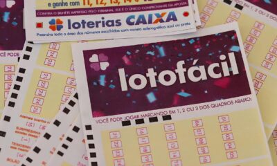O Grande Sorteio da Lotofácil: Como Três Apostas Transformaram R$ 517 Mil em Realidade e o Que Isso Revela Sobre o Mercado de Jogos no Brasil 29 O Grande Sorteio da Lotof cil Como Tr s Apostas Transformaram R 517 Mil em Realidade e o Que Isso Revela Sobre o Mercado de Jogos no Brasil