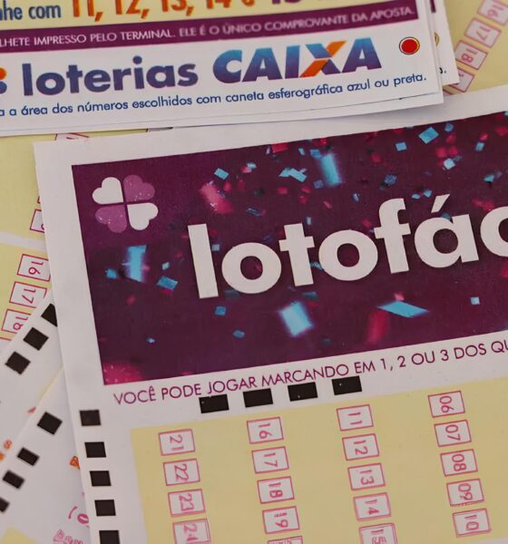 O Grande Sorteio da Lotofácil: Como Três Apostas Transformaram R$ 517 Mil em Realidade e o Que Isso Revela Sobre o Mercado de Jogos no Brasil 10 O Grande Sorteio da Lotof cil Como Tr s Apostas Transformaram R 517 Mil em Realidade e o Que Isso Revela Sobre o Mercado de Jogos no Brasil