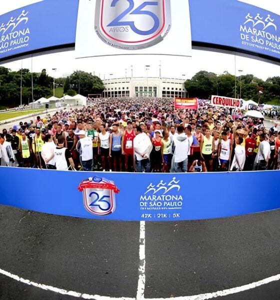 O Triunfo Silencioso Como Atletas Paral mpicos Est o Redefinindo a Excel ncia no Hipismo