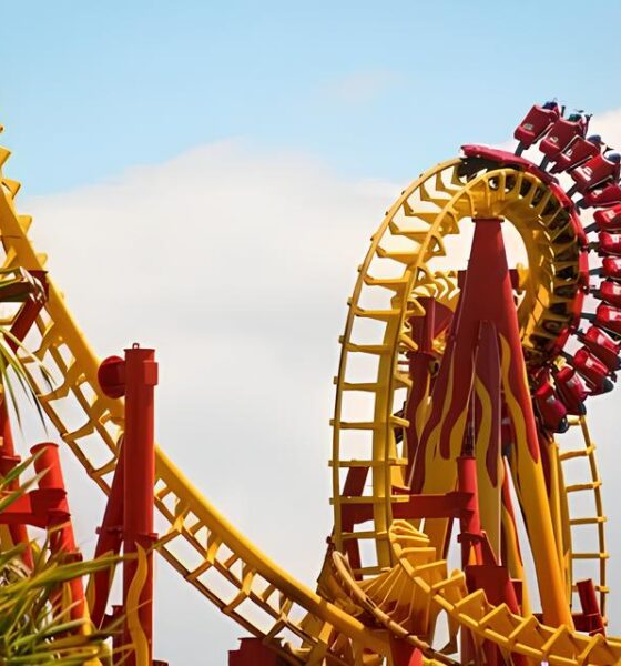 Os Melhores Parques Tem ticos do Brasil Onde a Magia Encontra o Divertimento em 2025