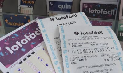Resultado Lotof cil 3493 Como Tr s Apostas Simples Transformaram Sonhos em Realidade