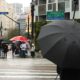 Tempestade Frio e Caos Como Uma Frente Fria Transformou o Sudeste em um Campo de Batalha Clim tica