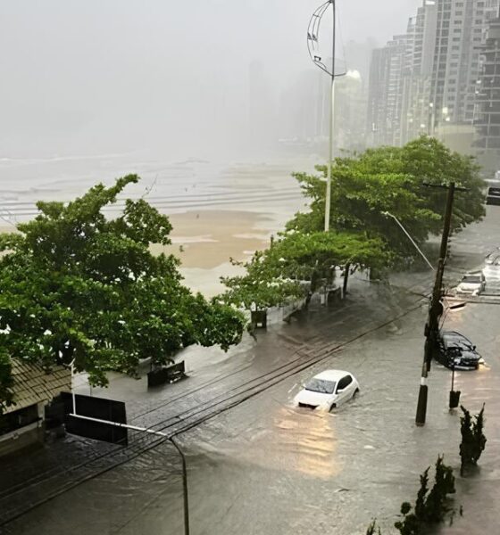 Vendavais e Chuva Forte em Campinas: O Dia em Que o Céu Desabou Sobre a Cidade 9 Vendavais e Chuva Forte em Campinas O Dia em Que o C u Desabou Sobre a Cidade