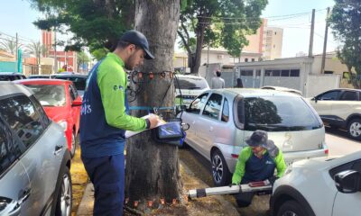 As rvores Est o Falando E Indaiatuba Est Escutando A Corrida Silenciosa Contra o Colapso Urbano