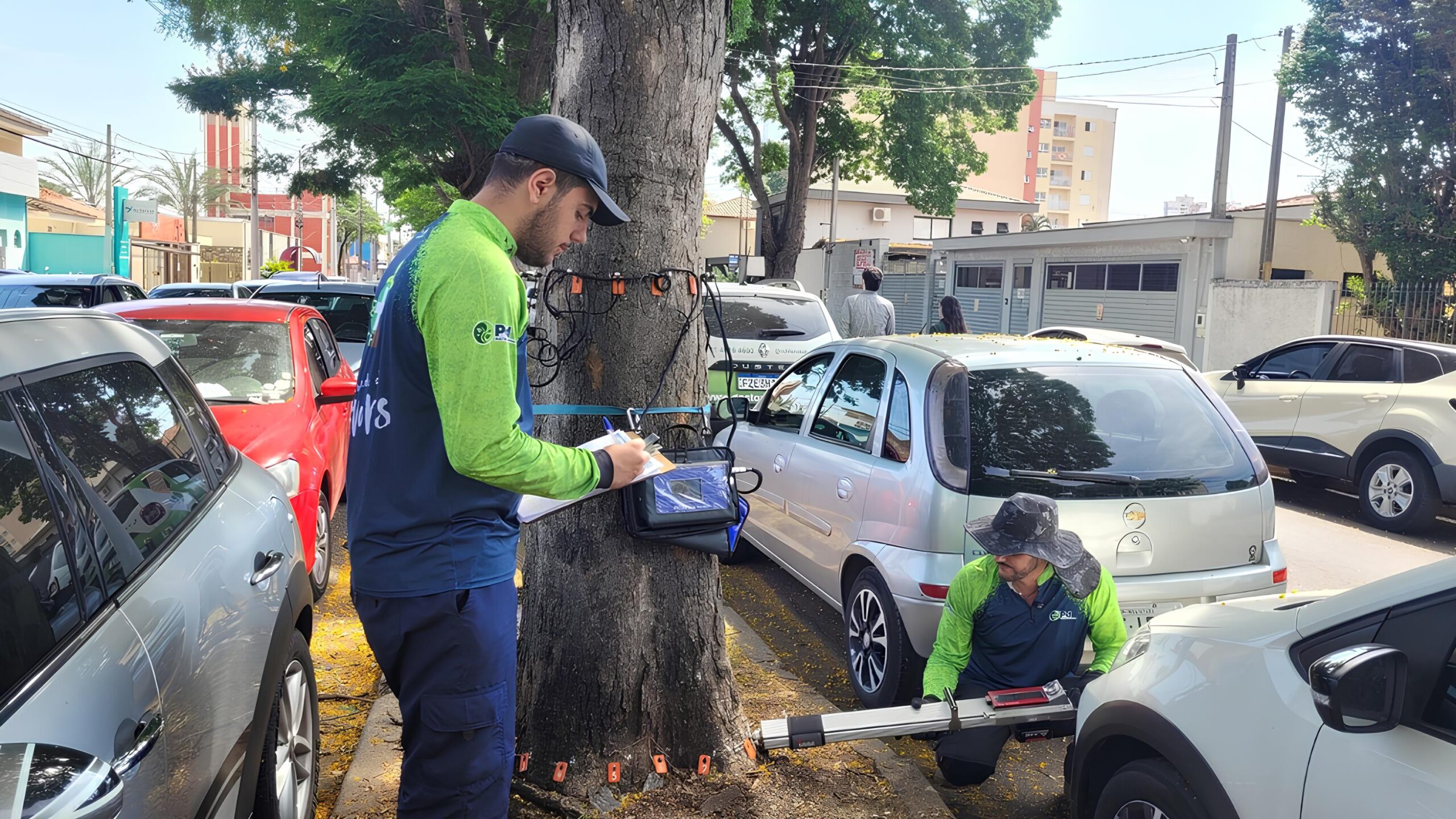 As rvores Est o Falando E Indaiatuba Est Escutando A Corrida Silenciosa Contra o Colapso Urbano scaled