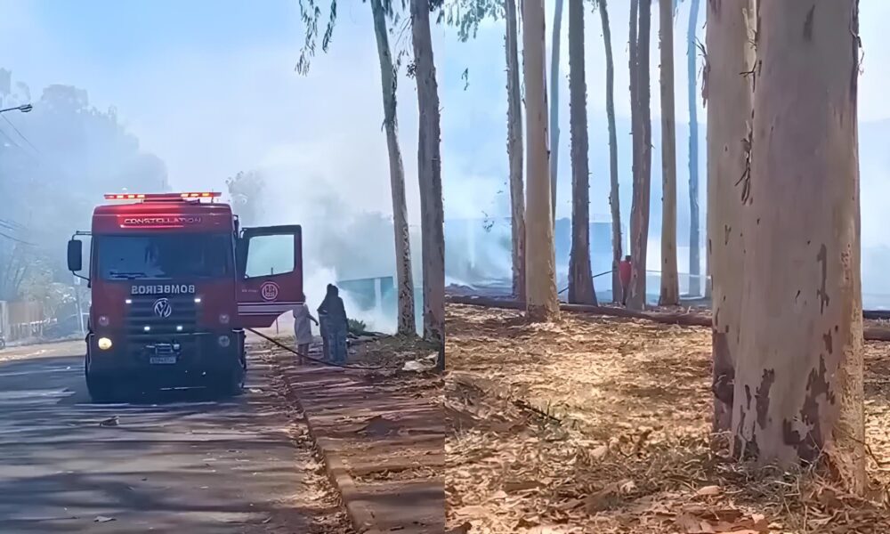 Chamas na Zona Sul: O Incêndio que Acordou Ribeirão Preto e Pôs em Alerta Todo o Interior de São Paulo 43 Chamas na Zona Sul O Inc ndio que Acordou Ribeir o Preto e P s em Alerta Todo o Interior de S o Paulo