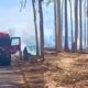 Chamas na Zona Sul: O Incêndio que Acordou Ribeirão Preto e Pôs em Alerta Todo o Interior de São Paulo 19 Chamas na Zona Sul O Inc ndio que Acordou Ribeir o Preto e P s em Alerta Todo o Interior de S o Paulo