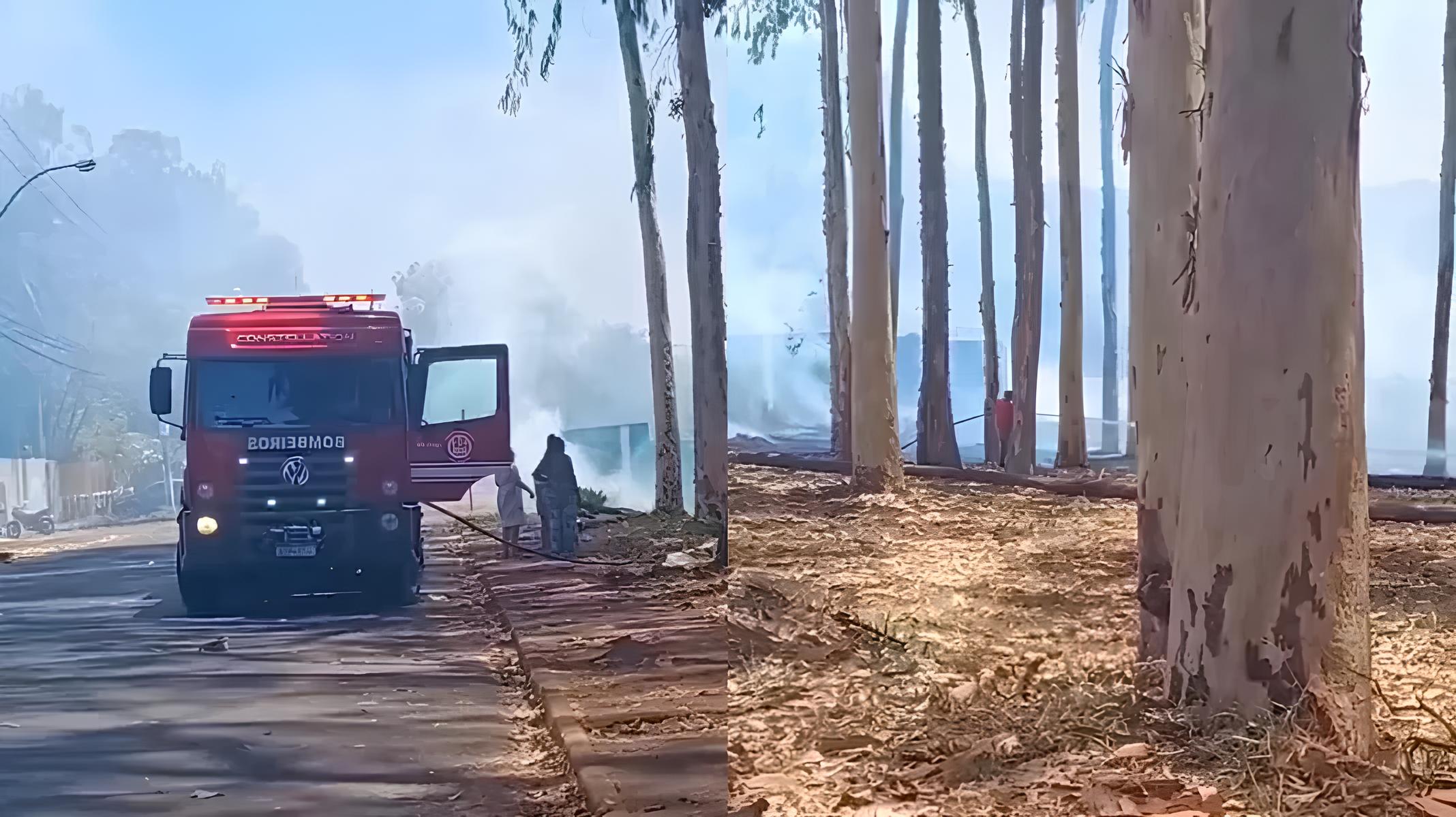 Chamas na Zona Sul: O Incêndio que Acordou Ribeirão Preto e Pôs em Alerta Todo o Interior de São Paulo 9 Chamas na Zona Sul O Inc ndio que Acordou Ribeir o Preto e P s em Alerta Todo o Interior de S o Paulo