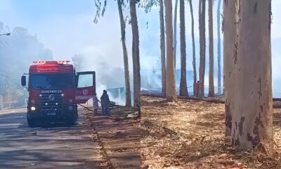 Fogo à Vista: Como um Incêndio na Zona Sul de Ribeirão Preto Acendeu o Alerta para uma Crise Silenciosa no Interior de São Paulo 41 Fogo Vista Como um Inc ndio na Zona Sul de Ribeir o Preto Acendeu o Alerta para uma Crise Silenciosa no Interior de S o Paulo