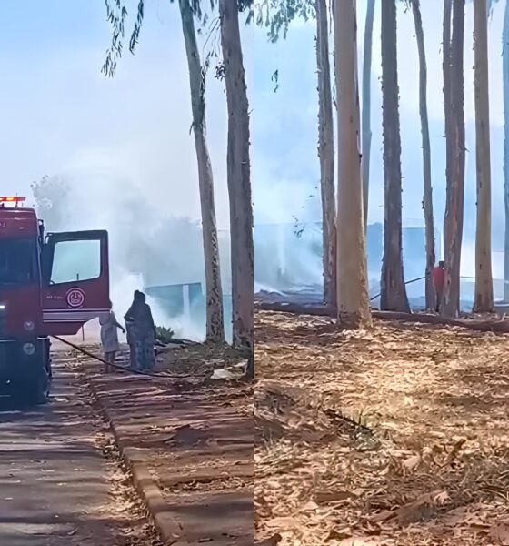 Fogo à Vista: Como um Incêndio na Zona Sul de Ribeirão Preto Acendeu o Alerta para uma Crise Silenciosa no Interior de São Paulo 10 Fogo Vista Como um Inc ndio na Zona Sul de Ribeir o Preto Acendeu o Alerta para uma Crise Silenciosa no Interior de S o Paulo