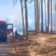Fogo à Vista: Como um Incêndio na Zona Sul de Ribeirão Preto Acendeu o Alerta para uma Crise Silenciosa no Interior de São Paulo 18 Fogo Vista Como um Inc ndio na Zona Sul de Ribeir o Preto Acendeu o Alerta para uma Crise Silenciosa no Interior de S o Paulo