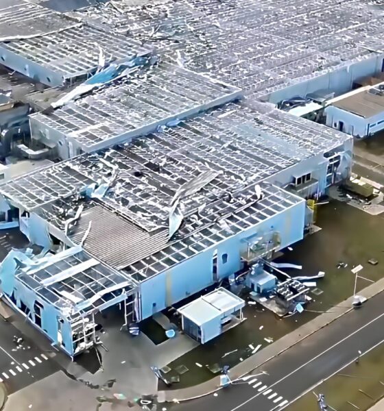 O Coração Híbrido da Toyota Bate Novamente: Como a Montadora Superou a Tempestade e Está Pronta para Reinventar o Futuro dos Carros no Brasil 10 O Cora o H brido da Toyota Bate Novamente Como a Montadora Superou a Tempestade e Est Pronta para Reinventar o Futuro dos Carros no Brasil