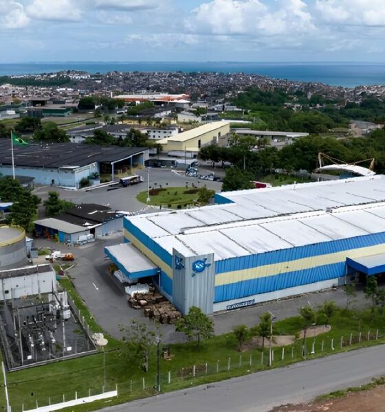 O Segredo que a Ypê Guardava: Como um Estágio Pode Ser o Trampolim para Sua Carreira em 2026 10 O Segredo que a Yp Guardava Como um Est gio Pode Ser o Trampolim para Sua Carreira em 2026