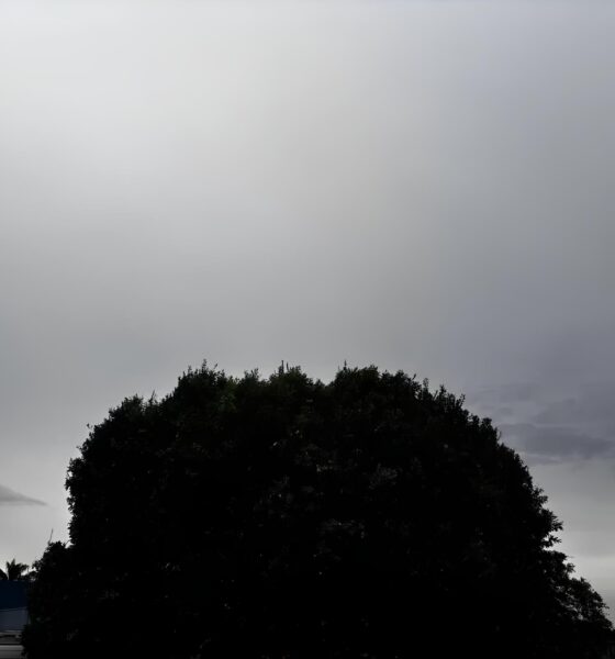 Quando o Céu Decide Virar o Jogo: A Dança do Calor, da Chuva e do Frio que Vai Sacudir São Paulo 10 Quando o C u Decide Virar o Jogo A Dan a do Calor da Chuva e do Frio que Vai Sacudir S o Paulo