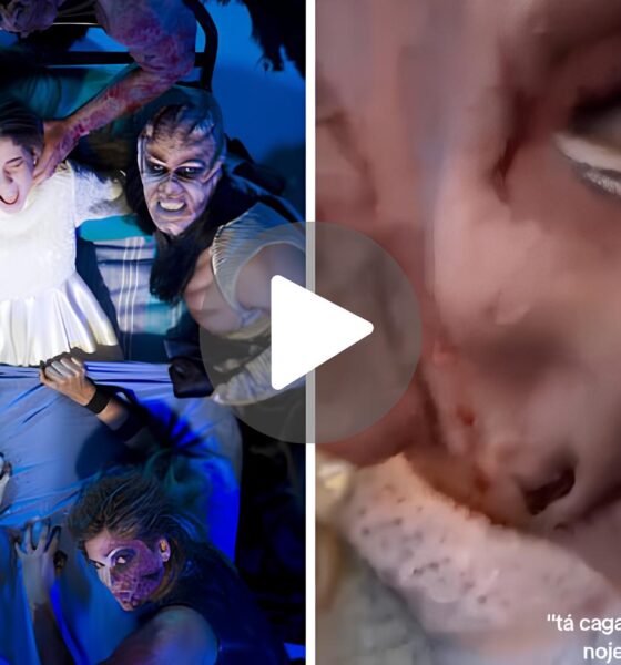 Quando o Medo Vira Memes O V deo que Paralisou o Hopi Hari e Conquistou 1 8 Milh o de Cora es e Risadas